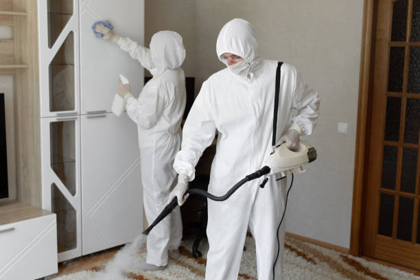 Best Professional Mold Removal  in Davis, OK