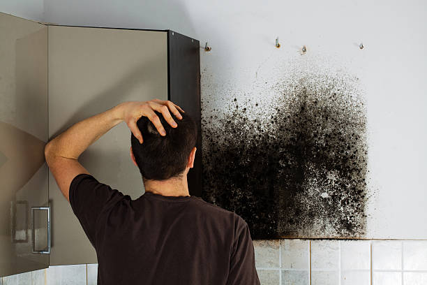 Crawl Space Mold Removal in Davis, OK